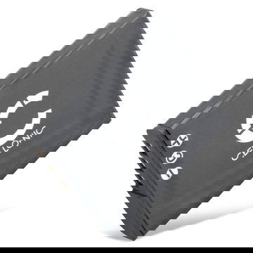 Batterie 900mAh pour appareil photo Sony Cyber-shot DSC-HX20V, DSC-HX9V, DSC-HX30V - Remplacement modèle NP-BG1 NP-FG1