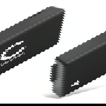 Batterie 800mAh pour appareil photo Leica V-LUX 2, V-LUX 3 - Remplacement modèle BP-DC9 BP-DC9