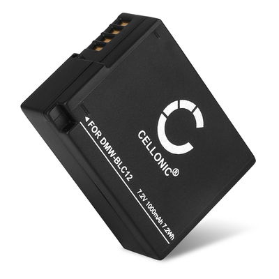 Batterie 1000mAh pour appareil photo Leica Q (Typ 116) V-LUX (Typ 114) - Remplacement modèle BP-DC12-E BP-51