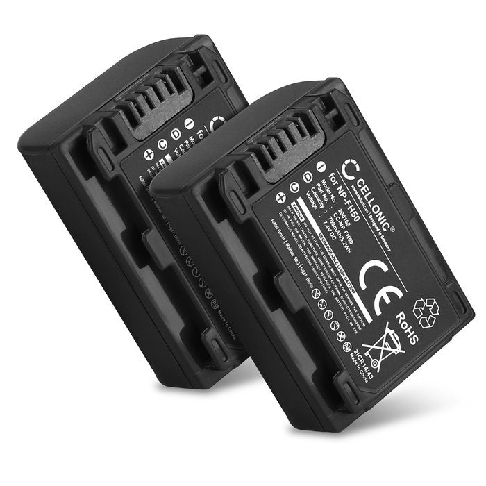 2x Batteria Sony DCR-SX30 - 700mAh