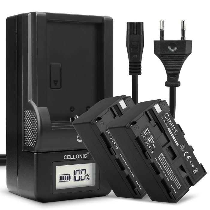 2x Sony HXR-MC2500 Batterie