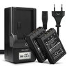 2x Batteria 1000mAh+ Caricabatteria