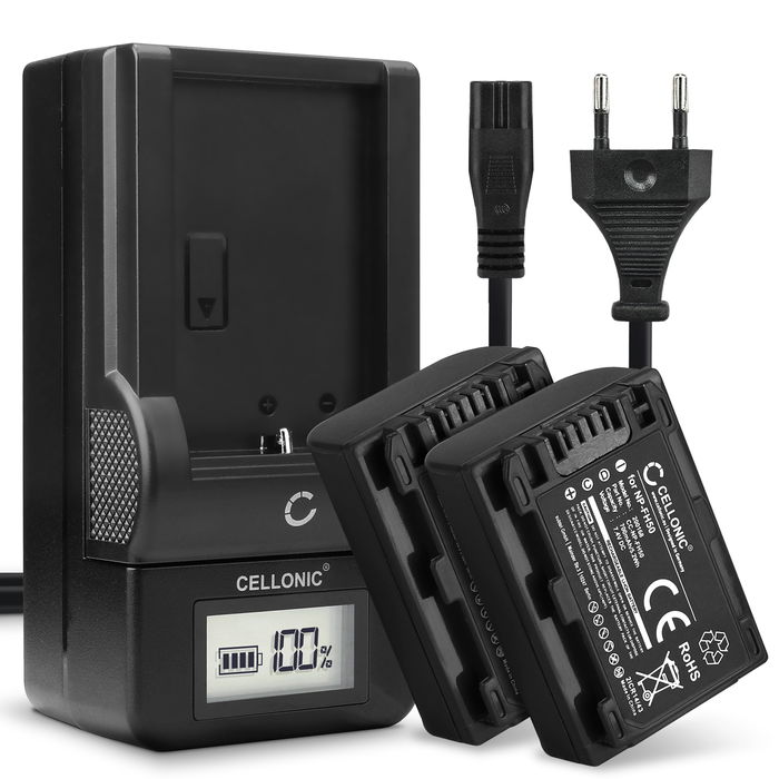2x Sony DCR-SX30E Akku + Ladegerät 700mAh Ersatzakku Batterie von Cellonic