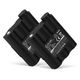2x 700mAh 6V