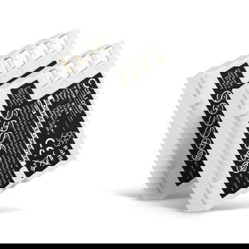 2x Batterie 1600mAh pour appareil photo Olympus 0E-520 E-510 E-500 - Remplacement modèle BLM-1 BLM-5