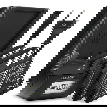 2x Ersatz Akku DMW-BLF19E + Ladegerät DMW-BTC10 für Panasonic GH5 Lumix DC-GH5 DC-GH5s Lumix DMC-GH4 GH4 GH4r GH4h GH3 DMC-GH3h GH3a G9 DC-G9 Kamera - 1600mAh Ersatzakku Batterie, Ladekabel, Akkuladegerät