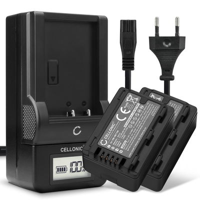 2x Batterie VW-VBK180 VW-VBT190 -VBY100 per videocamera Panasonic HC-V180 V10 V160 V270 V380 V777 V800 HC-VXF990 HC-VX980 HC-W580 HDC-SD40 1780mAh + Caricabatteria VW-BC10 con schermino per visualizzare lo stato di ricarica