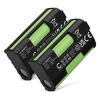 2x Batterie 1600mAh