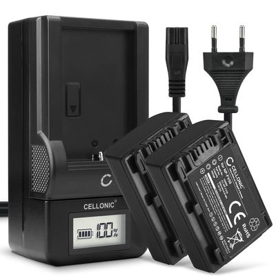 2x Batteria per Sony FDR-AX33 AX53 AX100e HDR-PJ810 PJ530 PJ330 PJ260 HDR-CX625 CX900 HDR-XR550 NEX-VG900 - NP-FV70A NP-FV50A NP-FV30 NP-FV90 NP-FV100A 650mAh + Caricabatteria di Ricambio sostituzione scorta