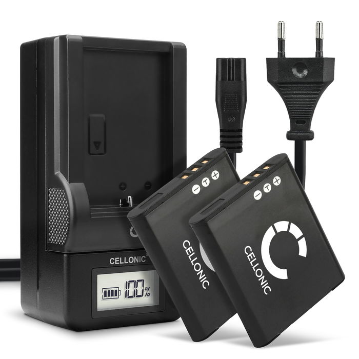 2x Ricoh HZ15 Batterie