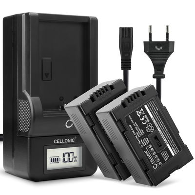 2x Ersatz Akku CGA-D54 CGR-D120 -D220 + Ladegerät für Panasonic AG-DVX100 NV-GS11 NV-DS60 NV-GS1 NV-DS27 NV-DS29 Kamera - 2200mAh Ersatzakku Batterie, Ladekabel, Akkuladegerät
