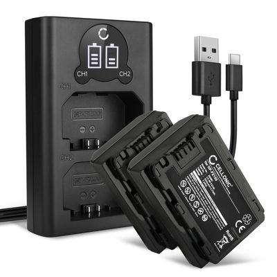 2x Kamera Akku für Sony A7 IV, A7C, A6700, A6600, A7S III, Alpha 1, A9, Alpha 7R III, 7R V - NP-FZ100 Ersatzakku 2040mAh + Dual Ladegerät BC-QZ1 Ladekabel, Batterie