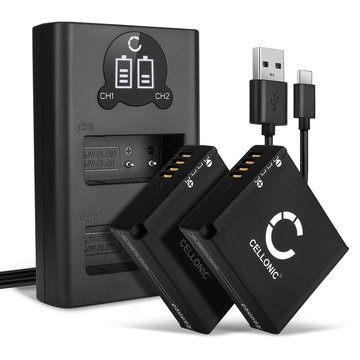 2x Batterie BP-DC15 BP-DC15-E BP-DC15-TK BP-DC15-U 980mAh + Chargeur Double BC-DC15 BC-DC15-E pour Leica D-LUX (109), D-LUX 7, BC-DC15 BP-DC15