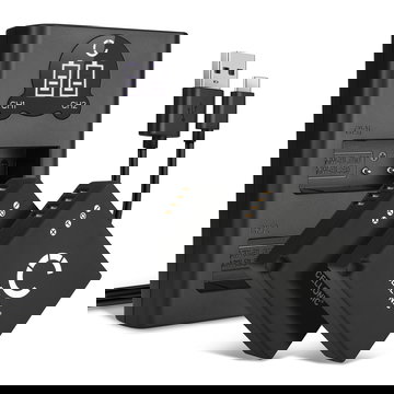 2x Batterie DMW-BLG10 DMW-BLE9PP 730mAh + Chargeur Double DE-A98A pour Panasonic GX9 GX7 GX80 LX100 II Lumix GX80 TZ81 TZ80 TZ90 TZ95 TZ100 TZ202 DC-GX9 GF3, DMW-BLG10