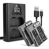2x Batteria 1600mAh+ Caricabatterie Doppio