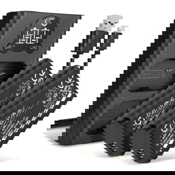 2x Kamera Akku für Panasonic Lumix DC-S1, Lumix DC-S1H, Lumix DC-S1R - DMW-BLJ31 + Dual Ladegerät DMW-BTC14E