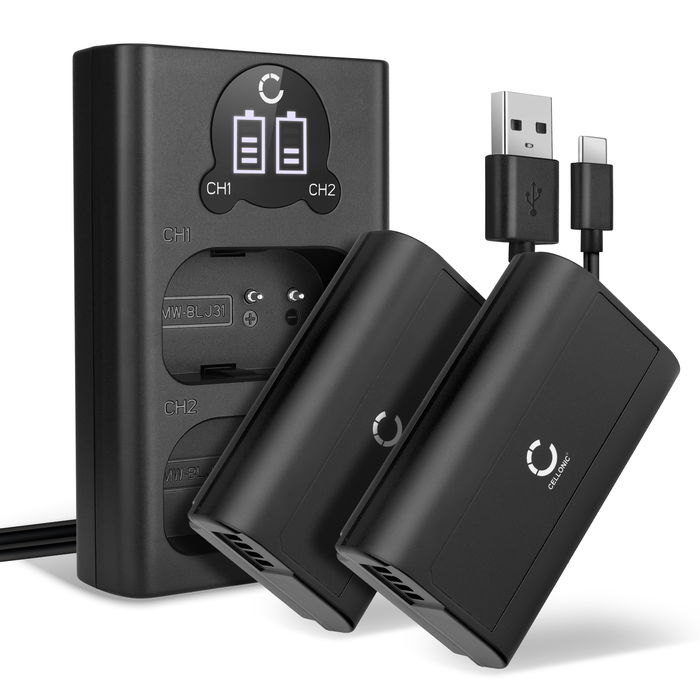 2x Akku für Panasonic Lumix DC-S1 Ersatzakku 2200mAh Batterie + Dual Ladegerät