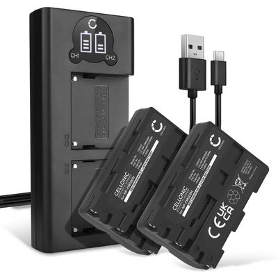 2x Batteria per Sony A58 A57 A65 A68 A77 II A99 II Alpha 68 A200 A300 A350 A500 A700 A900 DSLR-A200 SLT-A57 - NP-FM500H 1400mAh + Caricabatteria doppio BC-VM10A Ricambio sostituzione scorta
