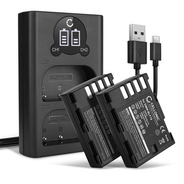 2x Kamera Akku für Panasonic Lumix DC-GH5s GH5 DMC-GH4 GH4 GH4r GH4h GH3 DMC-GH3h GH3a G9 DC-G9 - DMW-BLF19 DMW-BLF19E DMW-BLF19PP Ersatzakku 2000mAh + Dual Ladegerät DMW-BTC10E Ladekabel, Batterie