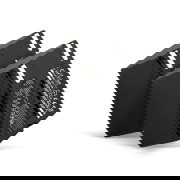 2x Batteria SB-LSM160,SB-LSM320,SB-LSM80 per fotocamera Samsung VP-D361 VP-D371 VP-D351 VP-DC171 VP-DC161 VP-D352 VP-D353 VP-D453 VP-D363 Affidabile ricambio da 2400mAh, marca CELLONIC