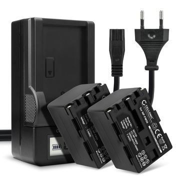 2x Batteria per Sony HVR-A1 HDR-SR1 HDR-HC1 GV-D1000 DCR-TRV38 -TRV20 -TRV330 -TRV285 -TRV340 -TRV345 -TRV351 -TRV355 - NP-FM50 NP-FM30 NP-FM70 NP-QM91 NP-QM71 3200mAh + Caricabatteria di Ricambio sostituzione scorta