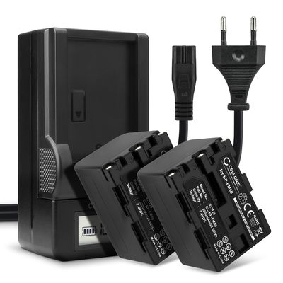 2x Batteria per Sony HVR-A1 HDR-SR1 HDR-HC1 GV-D1000 DCR-TRV38 -TRV20 -TRV330 -TRV285 -TRV340 -TRV345 -TRV351 -TRV355 - NP-FM50 NP-FM30 NP-FM70 NP-QM91 NP-QM71 3200mAh + Caricabatteria di Ricambio sostituzione scorta