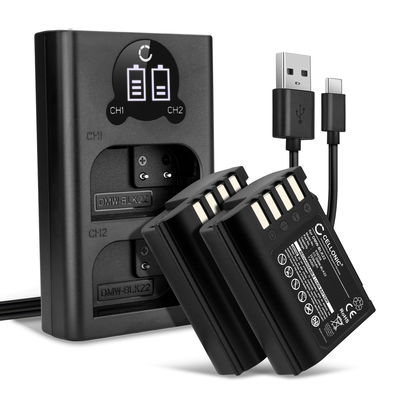 2x Batterie DMW-BLK22 2250mAh + Chargeur Double DMW-BTC15 pour Panasonic Lumix G9, GH5S, DC-S5, DC-S5K, DC-GH5 II, DMW-BLK22, DMW-BTC15
