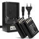 2x Batteria 1600mAh + Caricabatteria