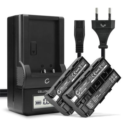 2x Batterie NP-F550 F330 F750 per videocamera camcorder Sony HDR-FX1000E, HDR-FX7E, NP-F330, NP-F730, NP-F950, AC-SQ950D, BC-VM50 Affidabile ricambio da 2600mAh + Caricatore BC-VM50 + Caricabatteria, per telecamera SONY