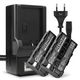 2x 2600mAh 7.4V + Chargeur