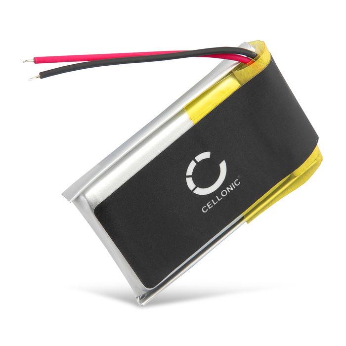 Batteria di ricambio per Bosch Intuvia batteria sostitutiva 250mAh , per terminale GPS navigatore